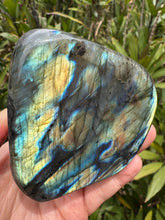 Labradorite Polished Freeform SKU 25523