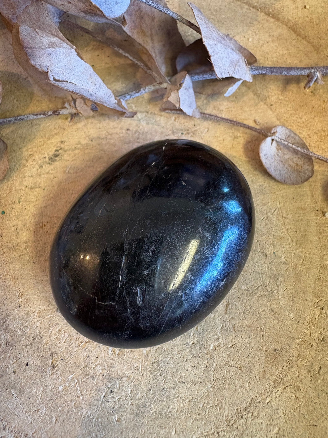 Black Tourmaline Palm Stone SKU 25268