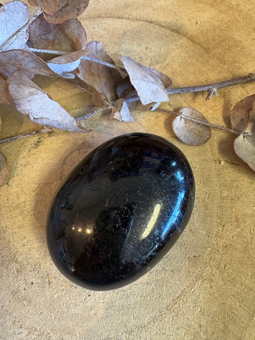 Black Tourmaline Palm Stone SKU 25271