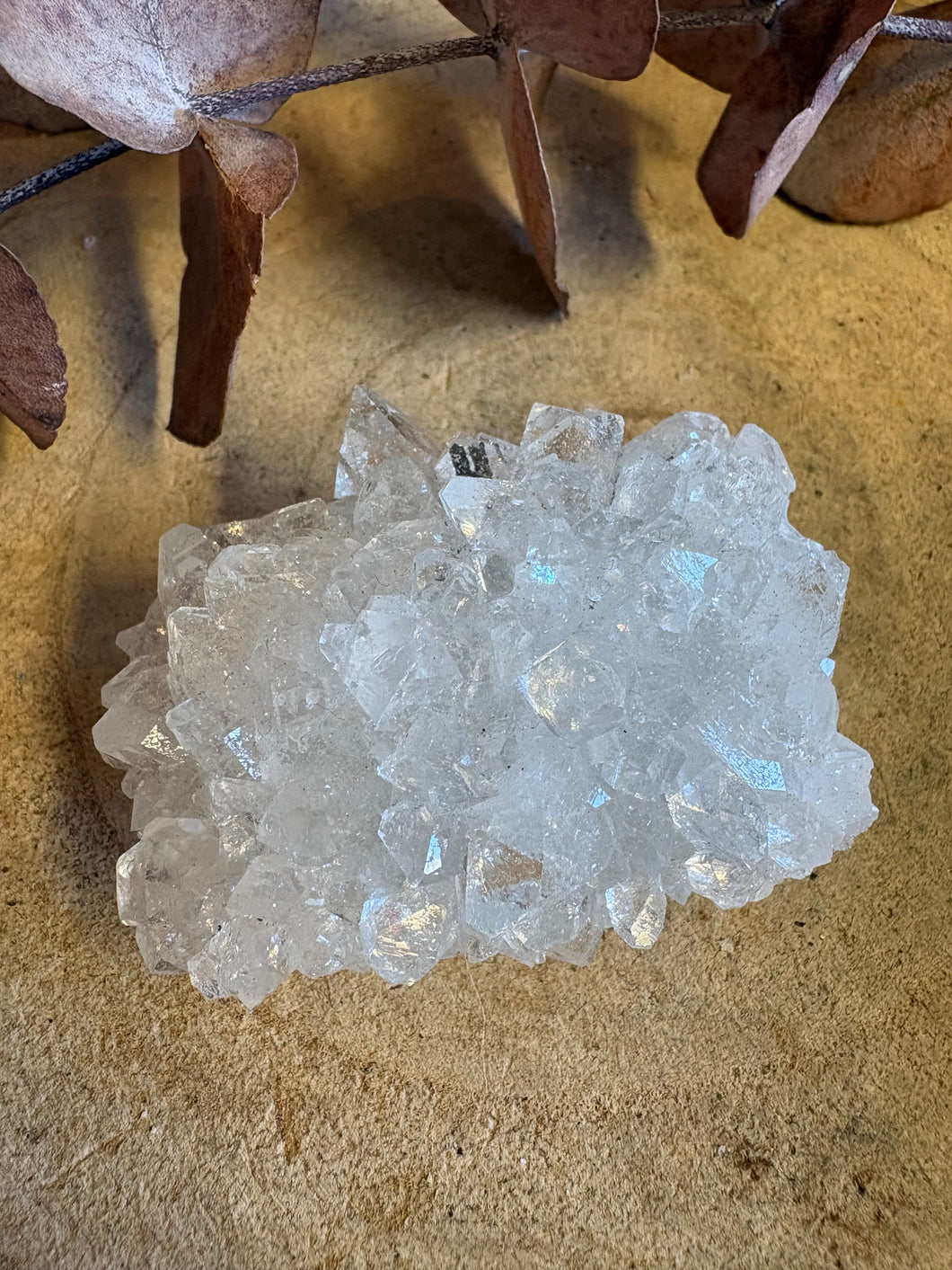 Apophyllite Cluster SKU 26315