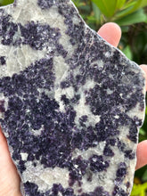 Lepidolite Slab SKU 24442