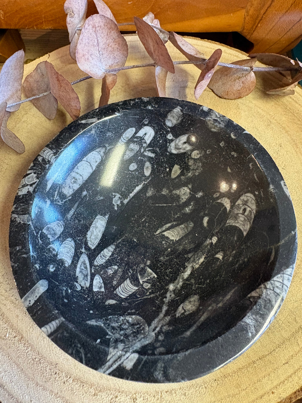 Orthoceras Fossil Bowl SKU 26048