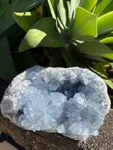 Celestite Cluster SKU 26187