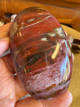 Petrified Wood Freeform SKU 25837
