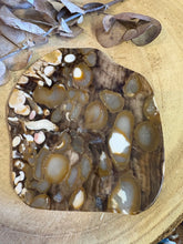 Peanut Wood Jasper Slice SKU 25087
