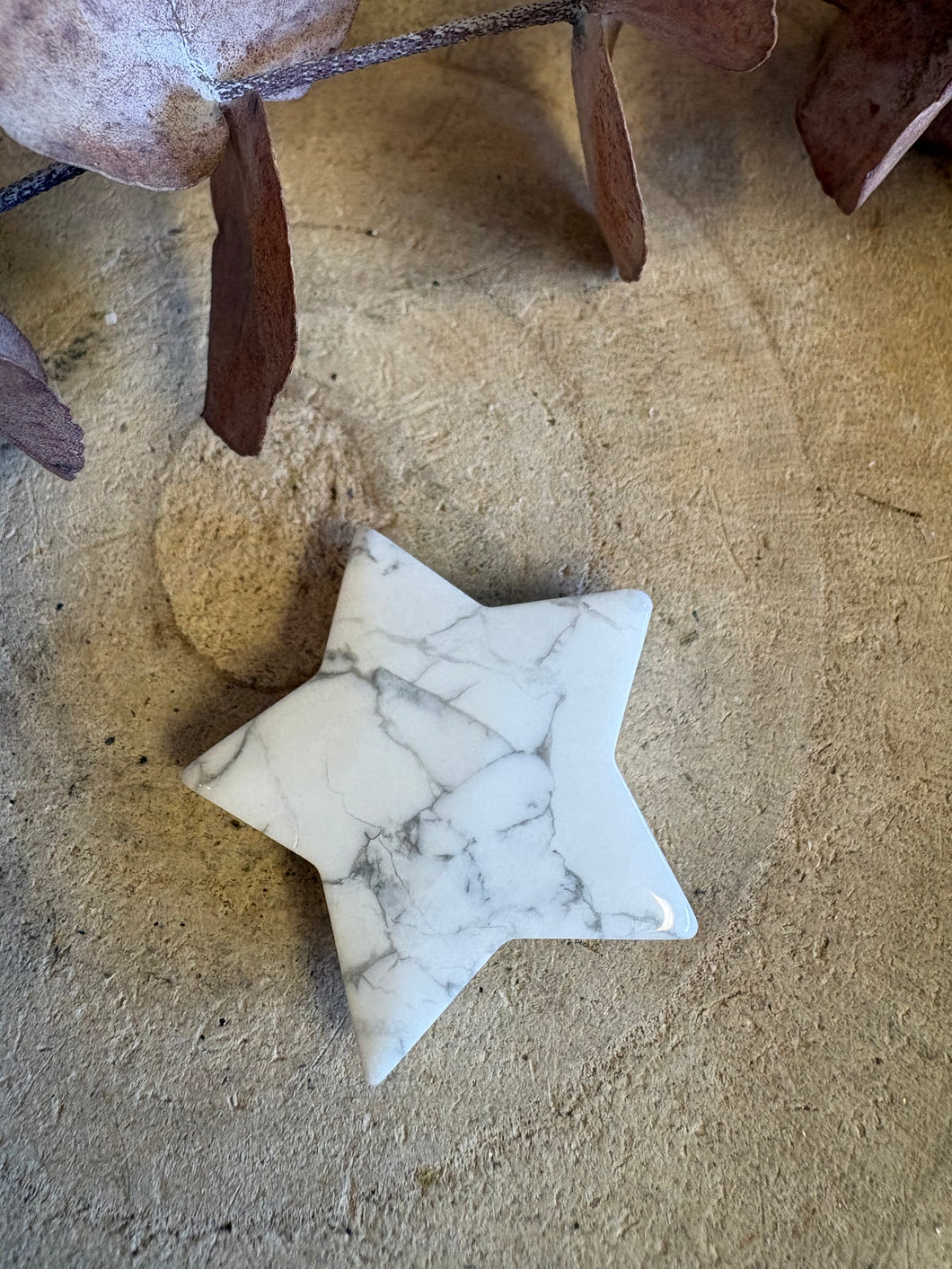Howlite Star SKU 25716