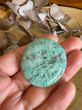 Amazonite Smooth Stone SKU 24462