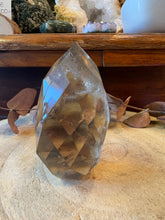 Smoky Quartz Diamond Freeform SKU 26577