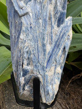 Blue Kyanite Cluster on Stand SKU 26264