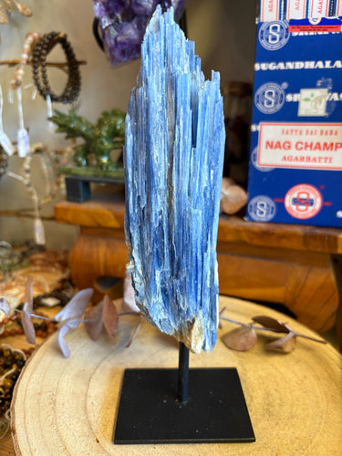 Blue Kyanite Cluster on Stand SKU 26386