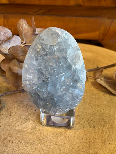 Celestite Cluster Egg SKU 25282