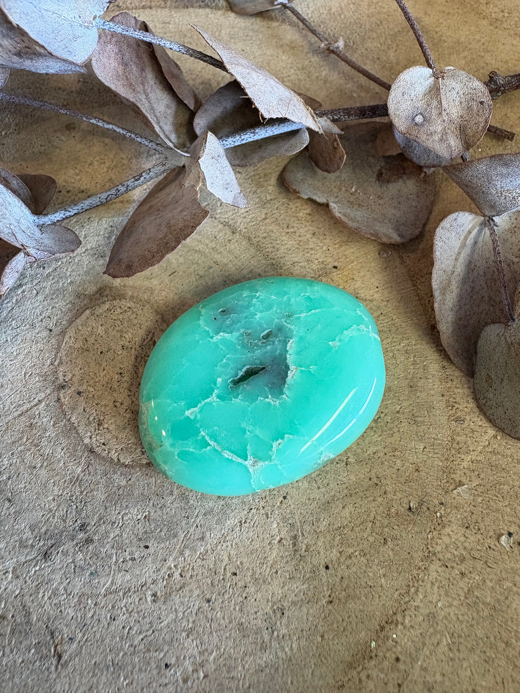 Green Chrysophase Smooth Stone SKU 24461