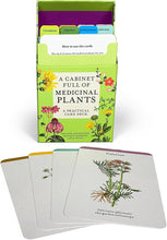 A Cabinet Full of Medicinal Plants