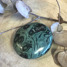 Kambaba Jasper Palm Stone SKU 23308