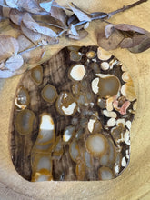 Peanut Wood Jasper Slice SKU 25087