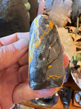 Bumblebee Jasper Freeform SKU 26795
