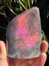 Purple Labradorite Freeform SKU 25054