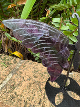 Rainbow Fluorite Butterfly Wings on Stand SKU 25133
