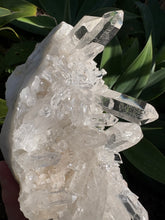 Clear Quartz Cluster on Stand SKU 26385