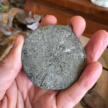 Pyrite Sun SKU 22913