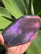 Purple Labradorite Freeform SKU 25052