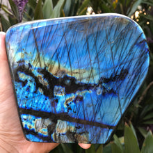 Labradorite Freeform SKU 23450