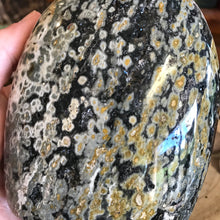 Ocean Jasper Freeform SKU 23303