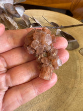 Aragonite Sputnik SKU 24607