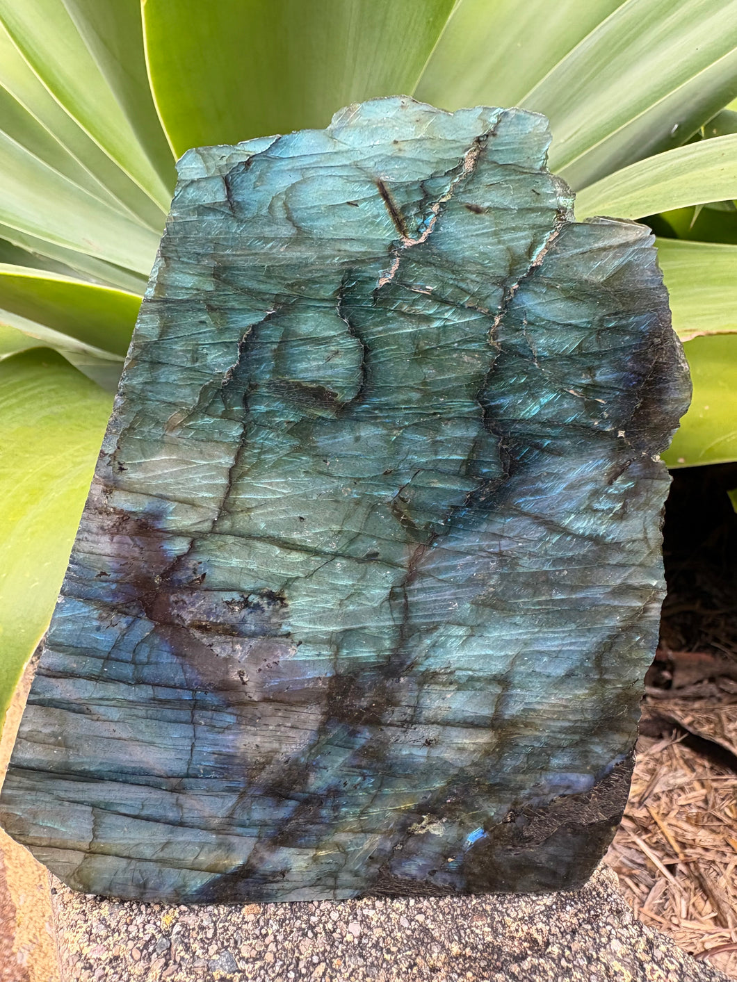 Labradorite Slab SKU 27063