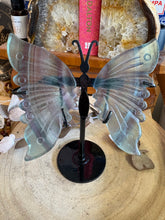 Rainbow Fluorite Butterfly Wings in Stand SKU 23949B