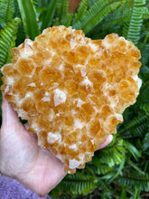 Citrine Cluster in Wooden Stand SKU 24910