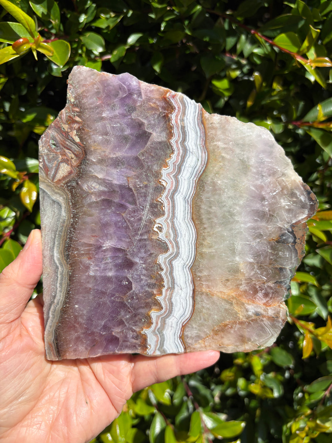 Crazy Lace Amethyst Slab SKU 26750