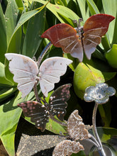 Ocean Jasper Butterfly Display Stand SKU 26779