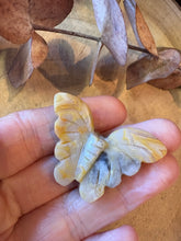 Crazy Lace Agate Butterfly SKU 26648