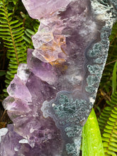 Amethyst Geode Slice in Wooden Stand SKU 25395
