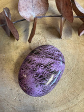Serpentine & Stichtite Palm Stone SKU 25741