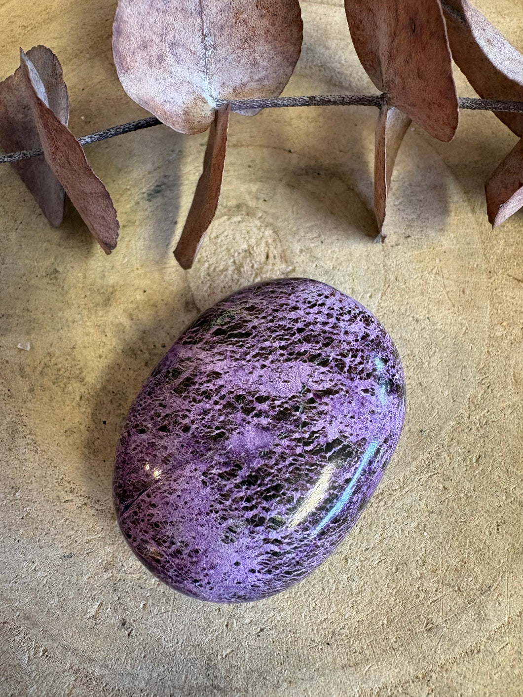 Serpentine & Stichtite Palm Stone SKU 25741