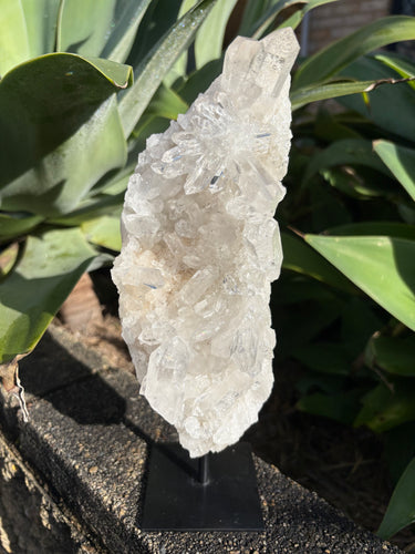 Clear Quartz Cluster on Stand SKU 26385