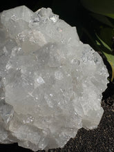 Apophyllite Large Cluster SKU 26248