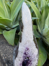 Amethyst Standing Freeform SKU 26291