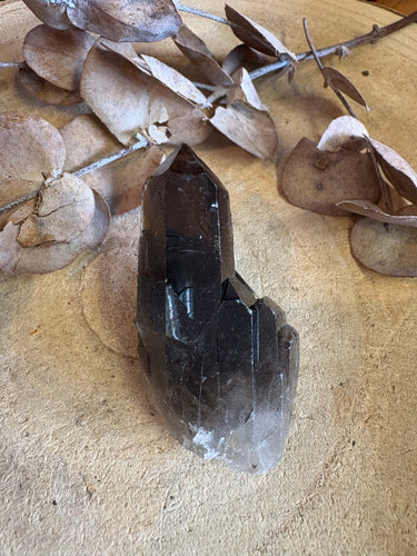 Smoky Quartz Point Cluster SKU 24754