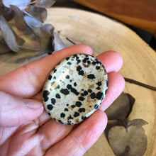 Dalmatian Jasper Worry Stone SKU 23777