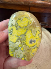 Bumblebee Jasper Freeform SKU 26777