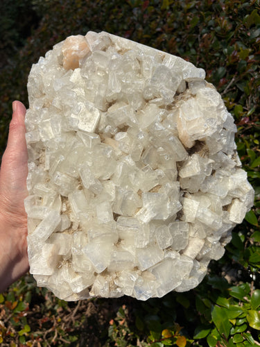 Apophyllite & Stilbite Cluster SKU 24787