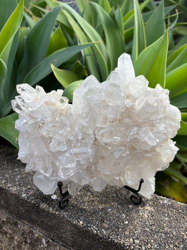 Clear Quartz Cluster SKU 26028