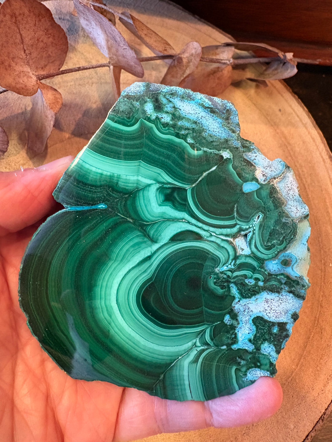 Malachite & Chrysocolla Slab SKU 26784