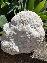 Cracked Quartz Geode Pair SKU 25100B