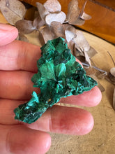 Velvet Malachite Specimen SKU 24422