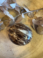 Black Opal Palm Stone SKU 24561