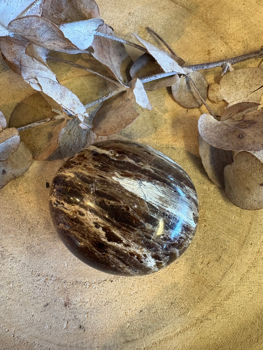 Black Opal Palm Stone SKU 24561